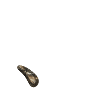 256