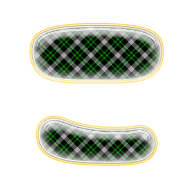 010