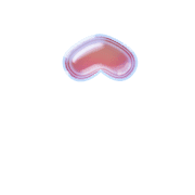 231