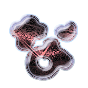 021