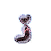 197