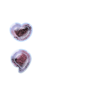243