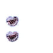 244