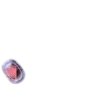 256