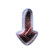 261