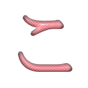 010