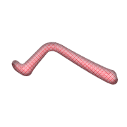 029