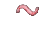 224