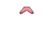 231