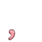 245