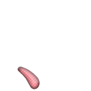256
