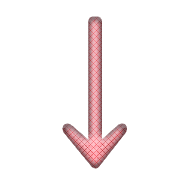 261