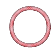 264