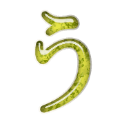 003