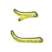 010