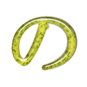 025