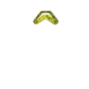 231