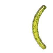 234
