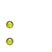 244