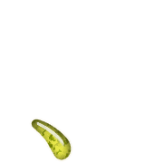 256
