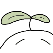 031