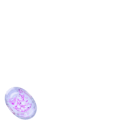 256