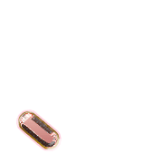 256