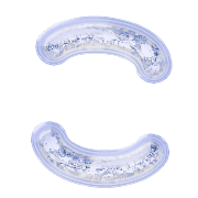 010