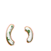 048