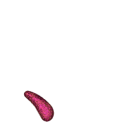 256