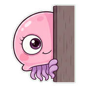 010