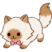 003