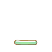 250