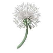 011