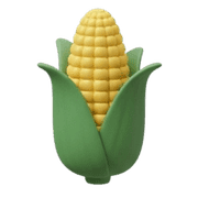 019