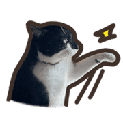 004
