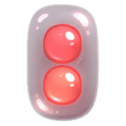 019