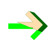 262