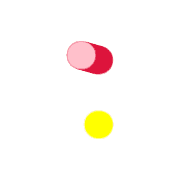 244