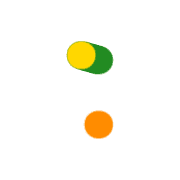 244