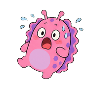 006