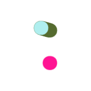 244