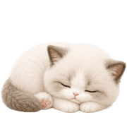 021