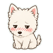 006