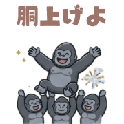 031