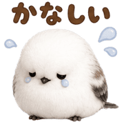 020