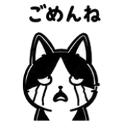 006