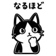 009