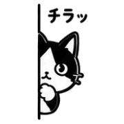 010