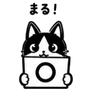 027